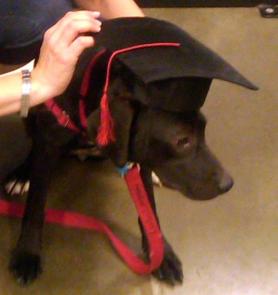 Lulu Graduation 2010