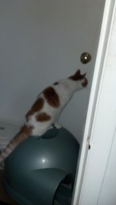 2012-02-06_09-14-16_407