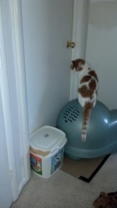 2012-02-06_09-14-46_300