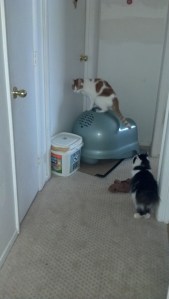 2012-02-06_09-14-55_551