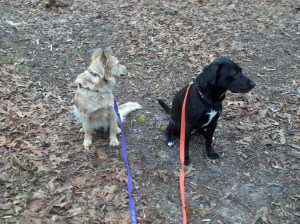 2012-03-18_09-10-20_836