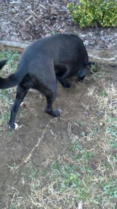 2012-02-29_06-45-29_835.jpg image