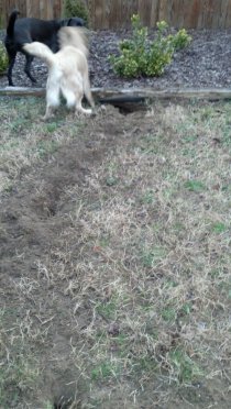 2012-02-29_06-45-42_13.jpg image