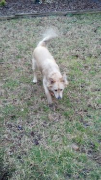 2012-02-29_06-46-23_401.jpg image