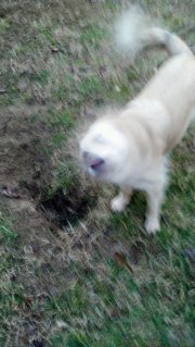 2012-02-29_06-46-27_445.jpg image