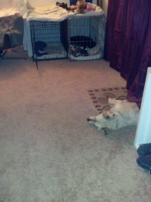 2012-03-22_22-02-44_643.jpg image