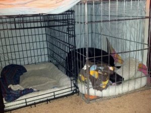 2012-03-22_22-03-06_311.jpg image