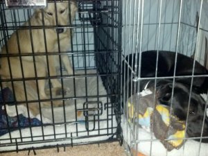 2012-03-22_22-05-43_244.jpg image