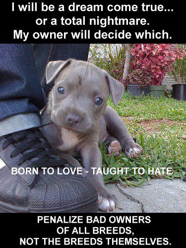 542898_10150837458685922_1358527221_n