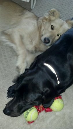 2012-02-05_10-35-20_248.jpg image