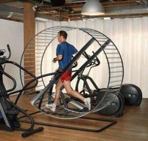 hamster wheel