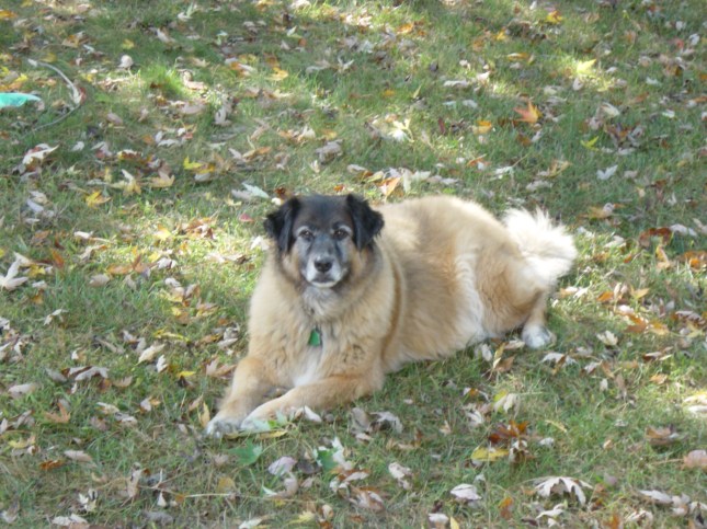 Squash E Bear Fall 2007