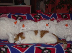 The Muffin Man4 Snowballs 2007