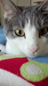 But Mom doesn't know what she doesn't know, right?  And you sure are not going to tell her.