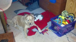 2012-12-12_19-18-55_615