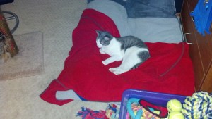 2012-12-12_19-20-34_248