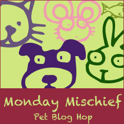 mondaybloghop