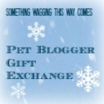 Pet-Blogger-Gift-Exchange1
