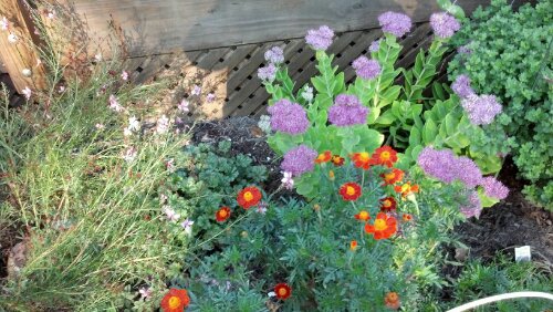 2012-09-11_09-12-14_574.jpg image