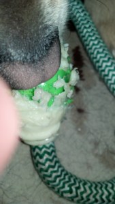 So much for it being unchewable!  