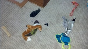 Mom!  I can;t find my fox, do you know where it is?