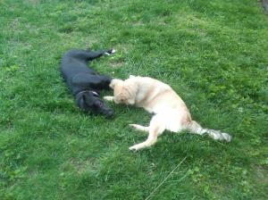 IMG00223-20110502-1933