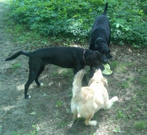 IMG00226-20110507-1143