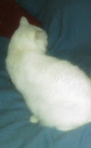 Oh, were you talking to me?