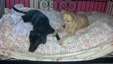 2012-12-18_15-43-23_159