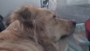 2013-01-26_10-01-56_351