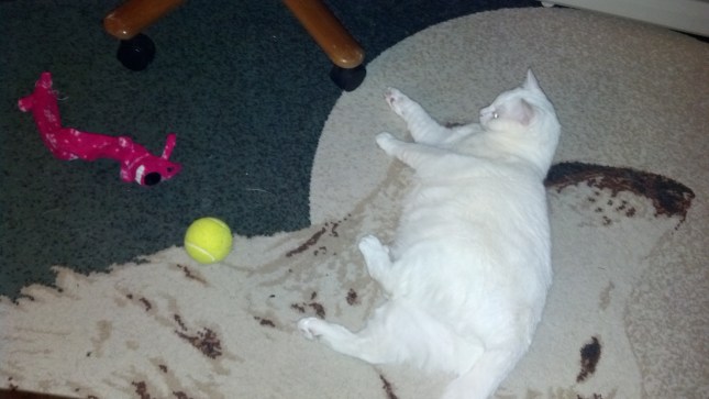 2013-02-02_22-08-45_820