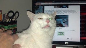 2013-02-04_09-23-31_31