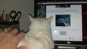 2013-02-04_09-23-35_769