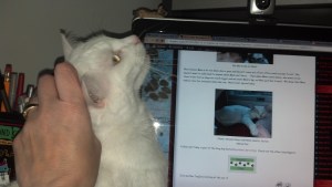 2013-02-04_09-23-44_643