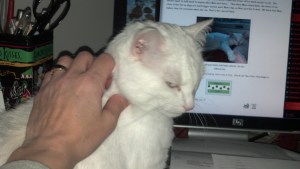 2013-02-04_09-23-49_588