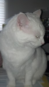 2013-02-04_09-24-45_67