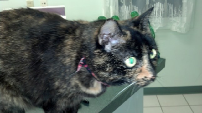 2013-02-14_17-49-38_108