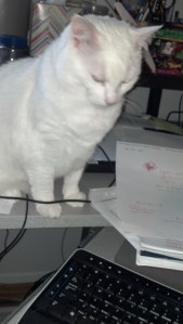 2013-02-24_08-43-04_639