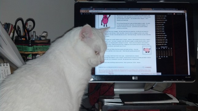 2013-02-24_08-45-50_787