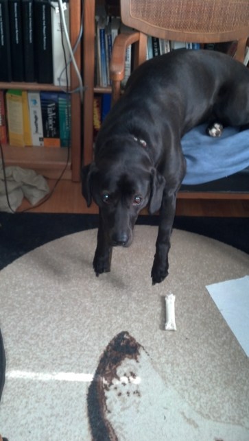 Louise in her office chair