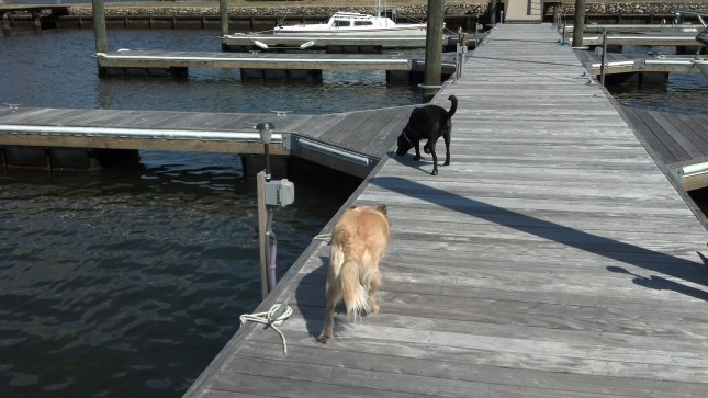 2013-03-14_13-27-09_815