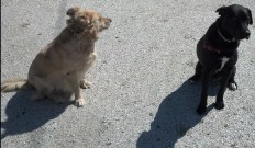 2013-03-14_13-28-20_833