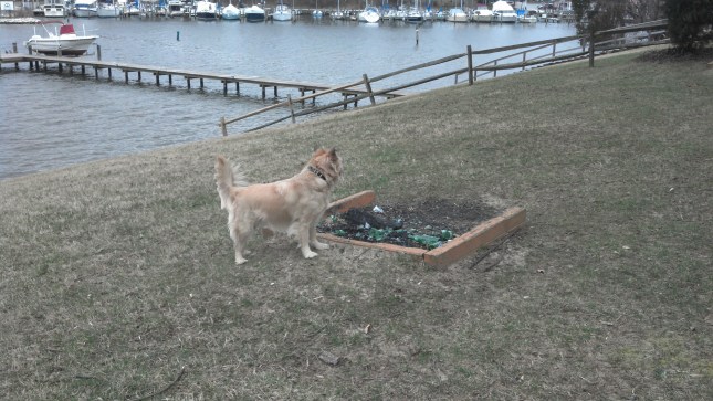 2013-03-17_13-31-44_678