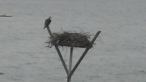 2013-03-17_13-32-09_8