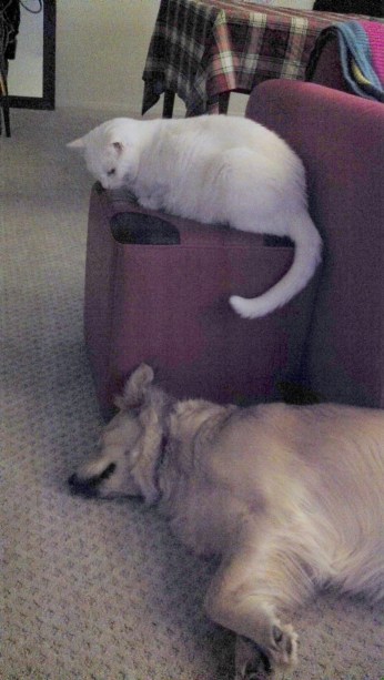 2013-03-17_21-25-23_711