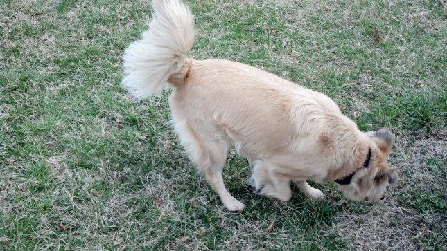 IMG_20130328_172023_205