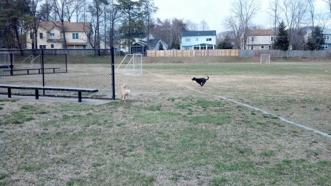 IMG_20130328_172038_493