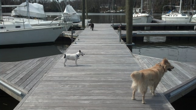 IMG_20130408_120045_276