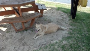 Is summer really over?