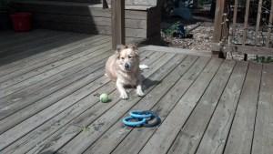 IMG_20130420_110418_611